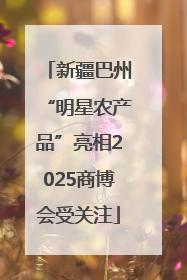 新疆巴州“明星农产品”亮相2025商博会受关注