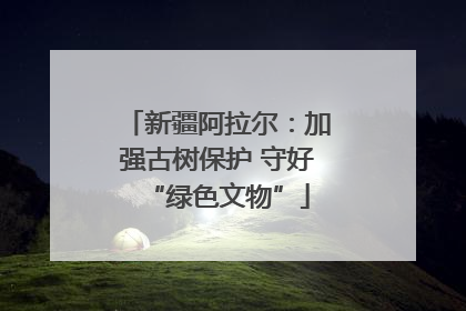 新疆阿拉尔：加强古树保护 守好“绿色文物”