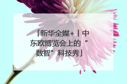 新华全媒+丨中东欧博览会上的“数智”科技秀