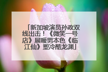 新加坡演员孙政双线出击！《微笑一号店》展暖男本色《临江仙》塑冷酷龙渊