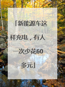新能源车这样充电，有人一次少花60多元