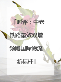 时评：中老铁路量效双增领跑国际物流新标杆