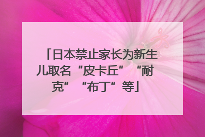 日本禁止家长为新生儿取名“皮卡丘”“耐克”“布丁”等