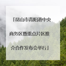 昆山市青阳港中央商务区暨重点片区推介合作发布会举行