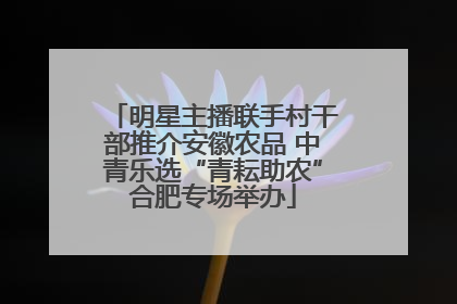 明星主播联手村干部推介安徽农品 中青乐选“青耘助农”合肥专场举办