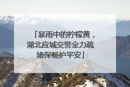 暴雨中的柠檬黄，湖北应城交警全力疏堵保畅护平安