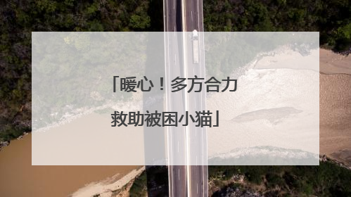 暖心！多方合力救助被困小猫