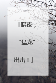 暗夜，“猛龙”出击！