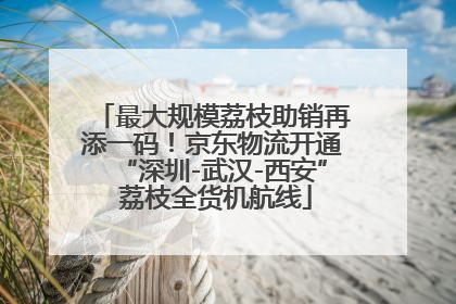 最大规模荔枝助销再添一码！京东物流开通“深圳-武汉-西安” 荔枝全货机航线