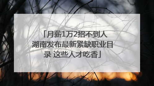 月薪1万2招不到人 湖南发布最新紧缺职业目录 这些人才吃香