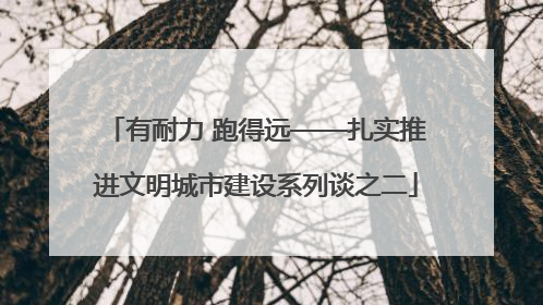 有耐力 跑得远——扎实推进文明城市建设系列谈之二