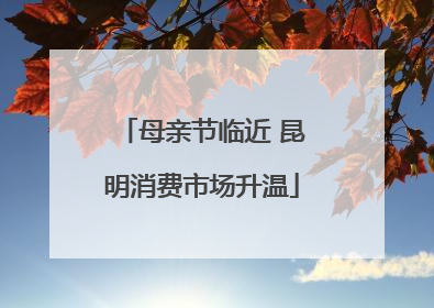 母亲节临近 昆明消费市场升温