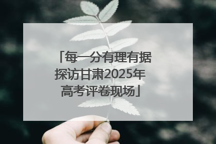 每一分有理有据 探访甘肃2025年高考评卷现场