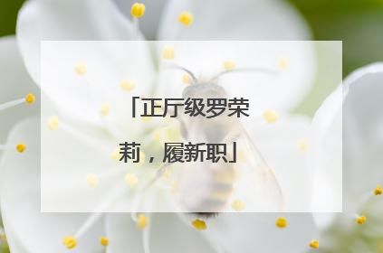 正厅级罗荣莉，履新职