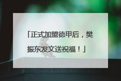 正式加盟德甲后，樊振东发文送祝福！