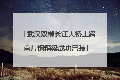 武汉双柳长江大桥主跨首片钢箱梁成功吊装