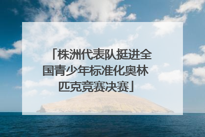 株洲代表队挺进全国青少年标准化奥林匹克竞赛决赛