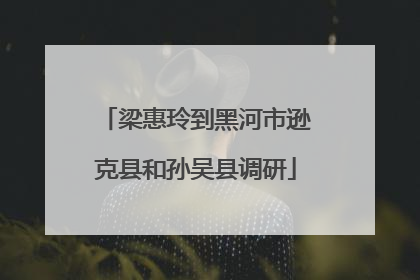 梁惠玲到黑河市逊克县和孙吴县调研