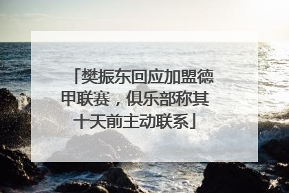樊振东回应加盟德甲联赛，俱乐部称其十天前主动联系