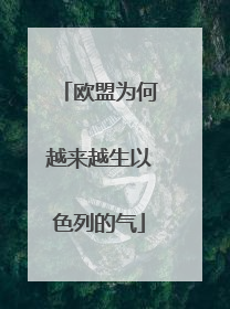 欧盟为何越来越生以色列的气