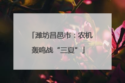 潍坊昌邑市：农机轰鸣战“三夏”