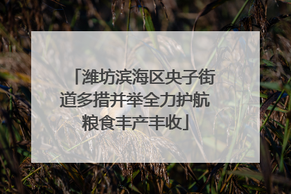 潍坊滨海区央子街道多措并举全力护航粮食丰产丰收