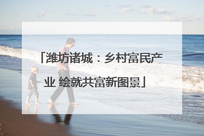 潍坊诸城：乡村富民产业 绘就共富新图景