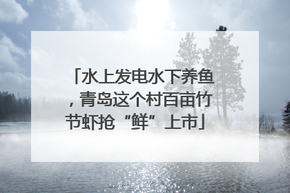 水上发电水下养鱼，青岛这个村百亩竹节虾抢“鲜”上市
