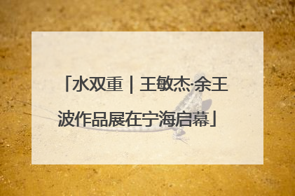 水双重｜王敏杰·余王波作品展在宁海启幕