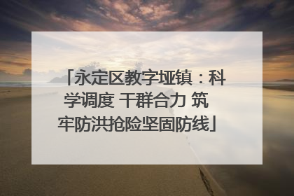 永定区教字垭镇：科学调度 干群合力 筑牢防洪抢险坚固防线