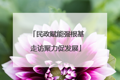 民政赋能强根基 走访聚力促发展