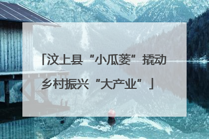 汶上县“小瓜蒌”撬动乡村振兴“大产业”