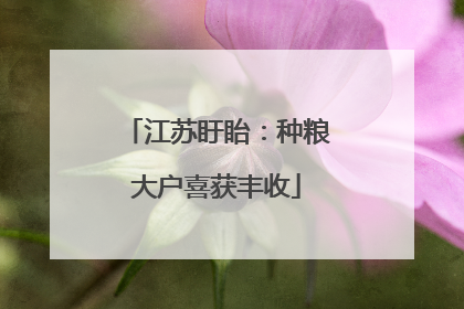 江苏盱眙：种粮大户喜获丰收