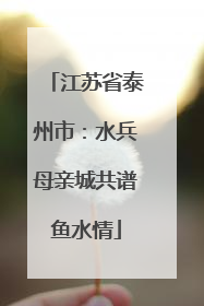 江苏省泰州市：水兵母亲城共谱鱼水情
