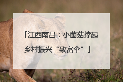 江西南昌：小菌菇撑起乡村振兴“致富伞”