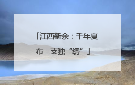 江西新余：千年夏布一支独“绣”