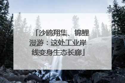 沙鸥翔集、锦鲤漫游：这处工业岸线变身生态长廊