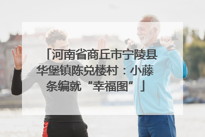 河南省商丘市宁陵县华堡镇陈兑楼村：小藤条编就“幸福图”