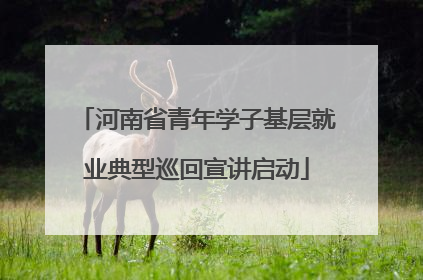 河南省青年学子基层就业典型巡回宣讲启动