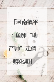 河南镇平：鱼卵“助产师”走俏孵化期