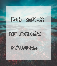 河南：强化法治保障 护航民营经济高质量发展