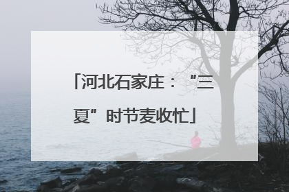 河北石家庄：“三夏”时节麦收忙