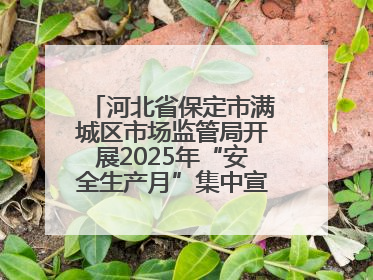 河北省保定市满城区市场监管局开展2025年“安全生产月”集中宣传咨询日活动