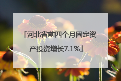 河北省前四个月固定资产投资增长7.1%