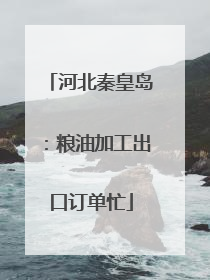 河北秦皇岛：粮油加工出口订单忙