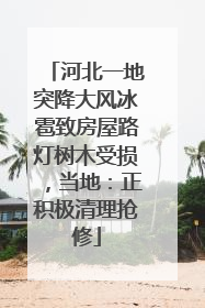 河北一地突降大风冰雹致房屋路灯树木受损，当地：正积极清理抢修