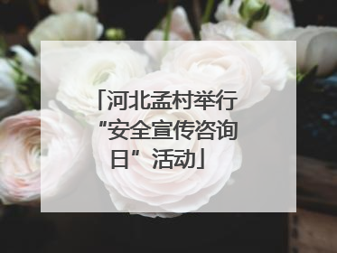 河北孟村举行“安全宣传咨询日”活动
