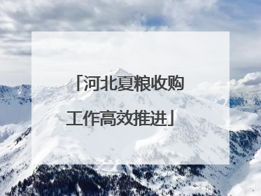 河北夏粮收购工作高效推进