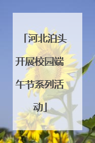 河北泊头开展校园端午节系列活动