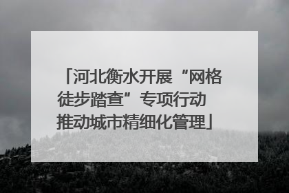 河北衡水开展“网格徒步踏查”专项行动 推动城市精细化管理